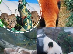 -香港海洋公园