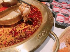-哥老官重庆美蛙鱼头(龙湖杭州金沙天街店)