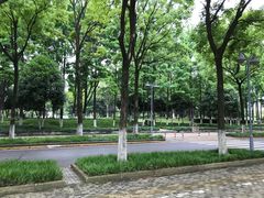 -后襄河公园
