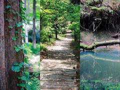 -罗田薄刀峰风景区
