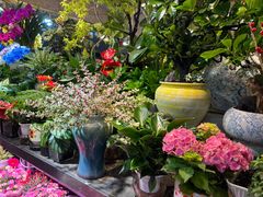 -吴山花鸟城-停车场