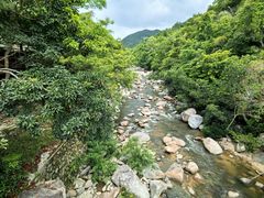 -海南热带雨林国家公园吊罗山景区