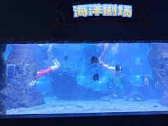 -南昌海洋公园