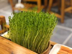 -廣順興(天明路店)