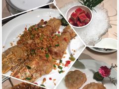 -陶陶居海鲜酒家(新马路店)