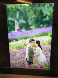点击看大图 -挪娅婚纱摄影皇家会所