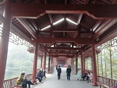 -重庆彩云湖湿地公园