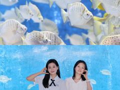 -合肥海洋世界