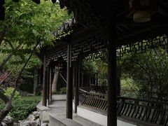 -芥子园