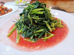 有机空心菜-乾隆美食·本帮菜(黄河路店)