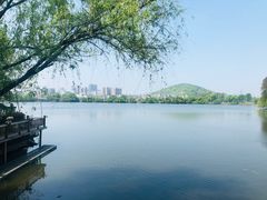 -东湖食堂·湖景餐厅•会议