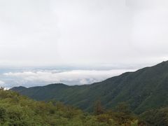 -大围山国家森林公园