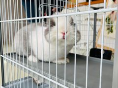 -小意思咖啡店(草桥店)