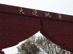 -武清南湖绿博园