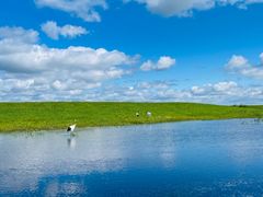 -黑龙江扎龙生态旅游区