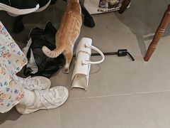 -初甜·舒芙蕾·韩式雪花冰(流塘店)