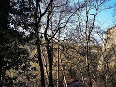 -卢森堡圣母教堂