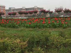 -西北农林科技大学(北校区)