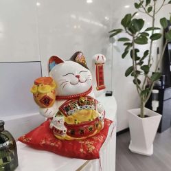 -张小野·专业半永久纹眉