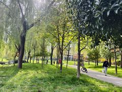 -木塔寺遗址生态公园