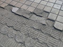 -小菜园新徽菜(合肥滨湖世纪金源店)
