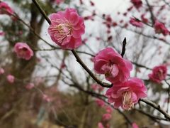 -广富林郊野公园