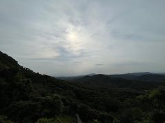 -黄埔油麻山森林公园