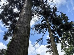 -东天目山风景区