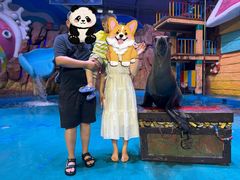 -烟台海昌鲸鲨海洋公园