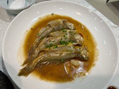 小黄鱼-温岭人家(红花北路店)