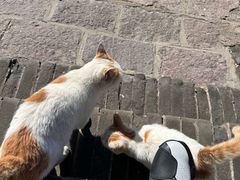 -鸡鸣驿城