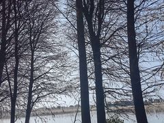 -苏州太湖国家湿地公园