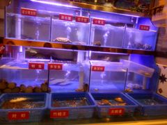 -小龍鳳·港式海鲜打边炉(沙湖路店)