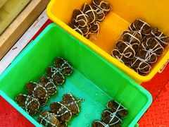 -蟹天蟹地农家菜·阳澄湖大闸蟹(浅水湾店)