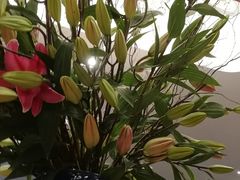 -鹿港小镇(金虹桥国际中心店)