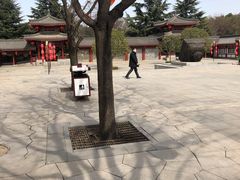 -莲西餐(曲江店)
