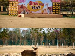 -盈香心动乐园