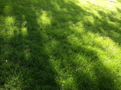 -长春公园(普阳街道)