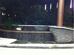-苏州清山会议中心