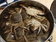 河蟹-万象·复兴号鲜肉烤肉海鲜自助(升级店)