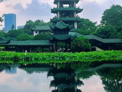 -桂湖森林公园
