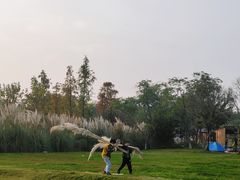 -白鹭湾湿地公园