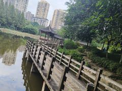 -龙头寺公园