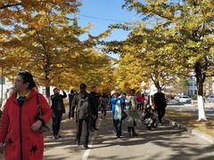 -辽东学院(南校区)