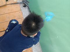 -蓝湾碧波·老字号·疍家非遗海上餐厅