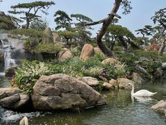 -罗红摄影艺术馆