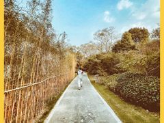 -桃花岛景观公园
