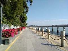 -演武大桥观景平台