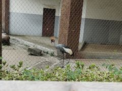 -南昌动物园