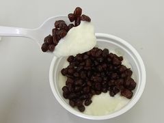 -清真马记宫廷奶酪(农光里店)